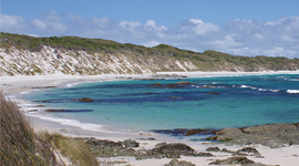 Biosecurity Snapshot Feature