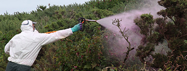 Pest Management Feature